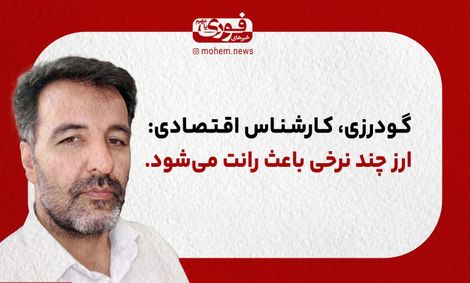 یک کارشناس اقتصادی: ارز چند نرخی باعث رانت می‌شود.