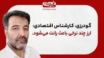 یک کارشناس اقتصادی: ارز چند نرخی باعث رانت می‌شود.