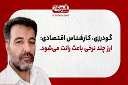 یک کارشناس اقتصادی: ارز چند نرخی باعث رانت می‌شود.