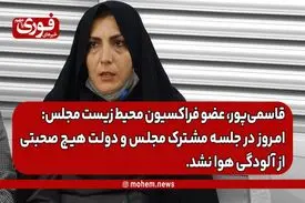 قاسمی‌پور، عضو فراکسیون محیط زیست مجلس: امروز در جلسه مشترک مجلس و دولت هیچ صحبتی از آلودگی هوا نشد.