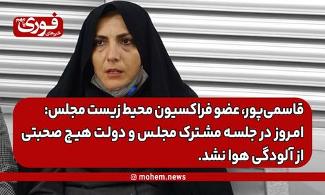 قاسمی‌پور، عضو فراکسیون محیط زیست مجلس: امروز در جلسه مشترک مجلس و دولت هیچ صحبتی از آلودگی هوا نشد.