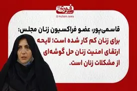عضو فراکسیون زنان مجلس: برای زنان کم کار شده است؛ لایحه ارتقای امنیت زنان حل گوشه‌ای از مشکلات زنان است.