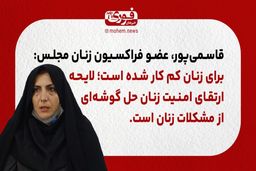عضو فراکسیون زنان مجلس: برای زنان کم کار شده است؛ لایحه ارتقای امنیت زنان حل گوشه‌ای از مشکلات زنان است.