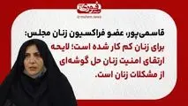 عضو فراکسیون زنان مجلس: برای زنان کم کار شده است؛ لایحه ارتقای امنیت زنان حل گوشه‌ای از مشکلات زنان است.