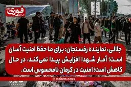 نماینده رفسنجان و انار: احتمال حمله تروریستی به ذهن مسئولین نیامده و گرنه برای ما حفظ امنیت آسان است. /آمار شهدا افزایش پیدا نمی‌کند، کاهش پیدا می‌کند./ امنیت در کرمان نامحسوس است.