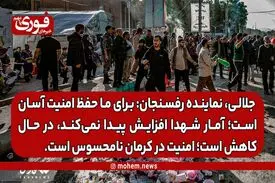 نماینده رفسنجان و انار: احتمال حمله تروریستی به ذهن مسئولین نیامده و گرنه برای ما حفظ امنیت آسان است. /آمار شهدا افزایش پیدا نمی‌کند، کاهش پیدا می‌کند./ امنیت در کرمان نامحسوس است.