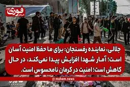 نماینده رفسنجان و انار: احتمال حمله تروریستی به ذهن مسئولین نیامده و گرنه برای ما حفظ امنیت آسان است. /آمار شهدا افزایش پیدا نمی‌کند، کاهش پیدا می‌کند./ امنیت در کرمان نامحسوس است.