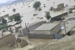 چگونه در مناطق محروم مانند سیستان و بلوچستان می‌توان شاهد توسعه مناسب و پایدار بود؟