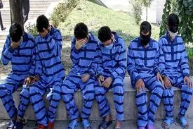 دستگیری اعضای ۲ باند سرقت ۶ میلیاردی احشام در قم