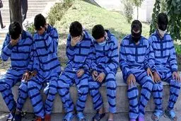 دستگیری اعضای ۲ باند سرقت ۶ میلیاردی احشام در قم