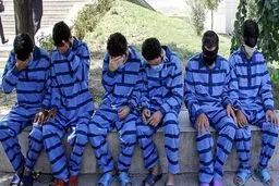 دستگیری اعضای ۲ باند سرقت ۶ میلیاردی احشام در قم