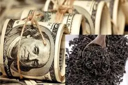 فروش ۳۷۰۰ تن چای دبش در مزایده‌های اموال تملیکی‌