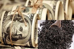 فروش ۳۷۰۰ تن چای دبش در مزایده‌های اموال تملیکی‌