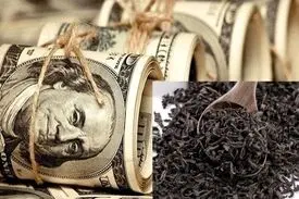 فروش ۳۷۰۰ تن چای دبش در مزایده‌های اموال تملیکی‌