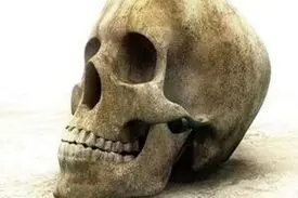 معمای مرموز کشف جمجمه در سعادت‌آباد