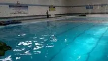 مرگ تلخ زوج سالمند در استخر خانه