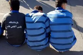 سارقان پلیس‌نما زوج جوان را طعمه کردند
