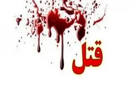 دستگیری مردی که برای سرقت خودرو مرتکب جنایت شد