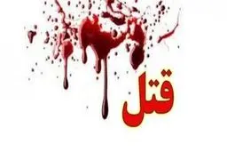 دستگیری مردی که برای سرقت خودرو مرتکب جنایت شد