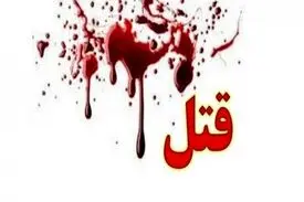 دستگیری مردی که برای سرقت خودرو مرتکب جنایت شد