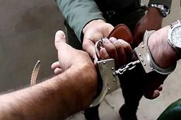 نقشه انتقام‌جویانه دختری که در تله سیاه گرفتار شد