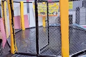 والدین دختر رزمی‌کار از خون‌خواهی گذشتند