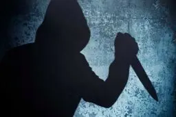 بررسی وضعیت روان متهم پرونده قتل خانم خبرنگار در پزشکی قانونی