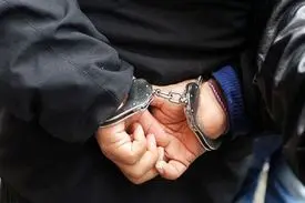 هوشیاری مرد بازاری، سارق میلیاردی را به تله انداخت