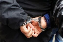 هوشیاری مرد بازاری، سارق میلیاردی را به تله انداخت