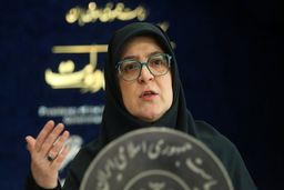 مهاجرانی: فعلاً برنامه‌ای برای قطع برق صنایع نداریم