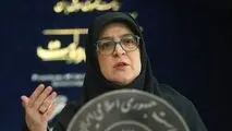 مهاجرانی: فعلاً برنامه‌ای برای قطع برق صنایع نداریم