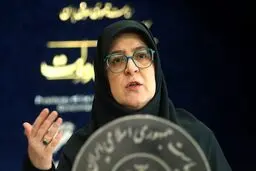 مهاجرانی: فعلاً برنامه‌ای برای قطع برق صنایع نداریم