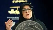 مهاجرانی: فعلاً برنامه‌ای برای قطع برق صنایع نداریم