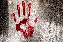 محاکمه زنی که متهم به همدستی در قتل پسرخاله‌اش است