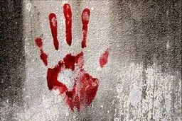 محاکمه زنی که متهم به همدستی در قتل پسرخاله‌اش است
