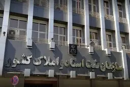 خاک خوردن قراردادهای استاندارد / آیین‌نامه‌ای که ابلاغ شد، اما اجرا نشد