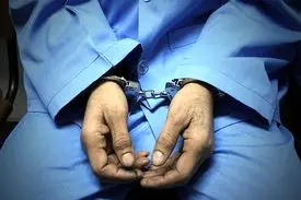 زن ضایعات‌فروش؛ عضو اصلی باند سرقت نیم میلیاردی