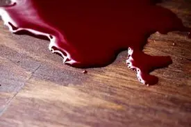 اختلاف قدیمی ۲ همکار با دوئل مرگبار به پایان رسید