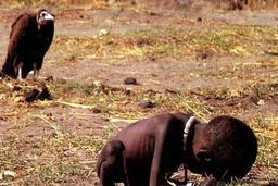 ماجرای خودکشی عکاس این عکس معروف و تلخ دخترک و لاشخور