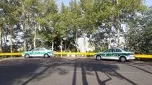 معمای کشف استخوان‌های انسان در میان شمشادها