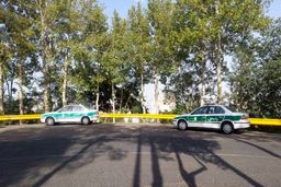 معمای کشف استخوان‌های انسان در میان شمشادها