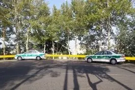 معمای کشف استخوان‌های انسان در میان شمشادها