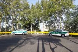 معمای کشف استخوان‌های انسان در میان شمشادها