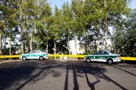 معمای کشف استخوان‌های انسان در میان شمشادها