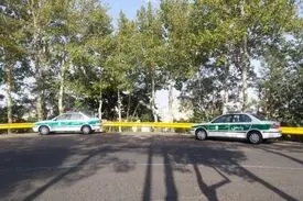 معمای کشف استخوان‌های انسان در میان شمشادها