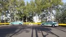 معمای کشف استخوان‌های انسان در میان شمشادها