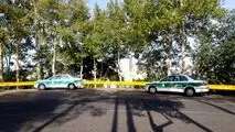 معمای کشف استخوان‌های انسان در میان شمشادها