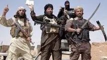 نایب رئیس پیشین کمیسیون امنیت ملی در مجلس: داعش یک تهدید جهانی و منطقه‌ای است ولی ما نمی‌توانیم بدون اجازه حاکمیتِ یک کشور برای مقابله با آن لشکر‌‌کشی کنیم