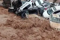 علت حادثه سیل شیراز فراتر از خطای انسانی است