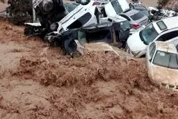 علت حادثه سیل شیراز فراتر از خطای انسانی است